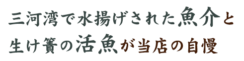 三河湾で水揚げされた魚介と