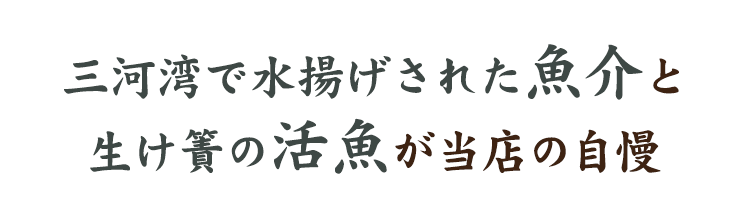 三河湾で水揚げされた魚介と